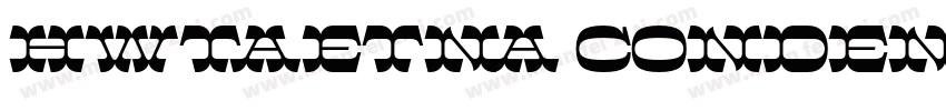 HWTAetna condensed字体转换